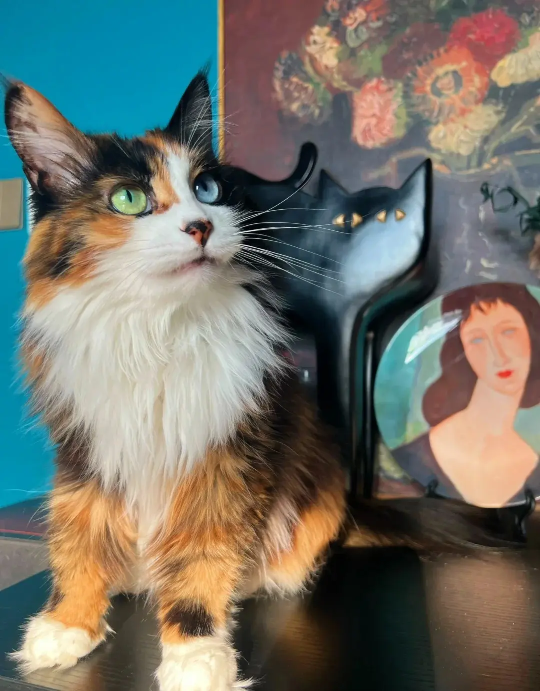 Chat