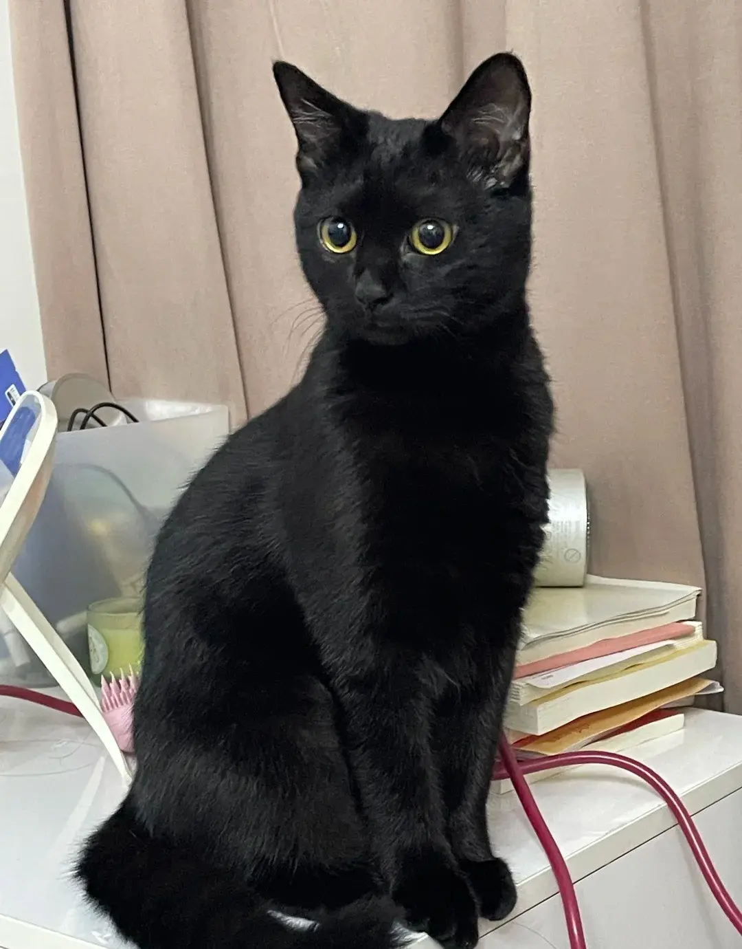 Chat