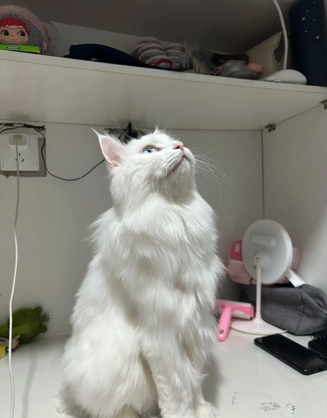 Chat