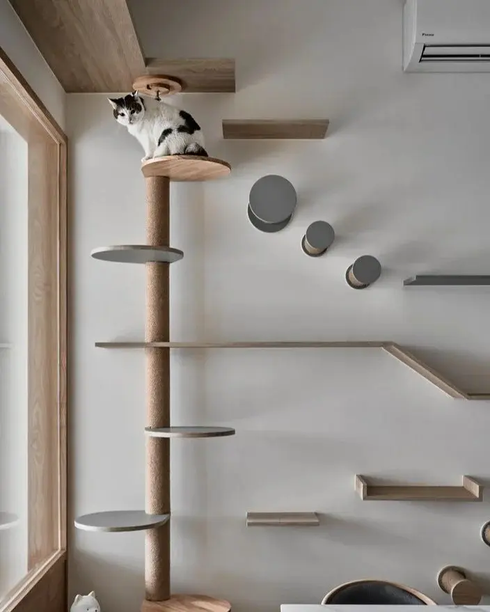Chat sur un arbre à chat