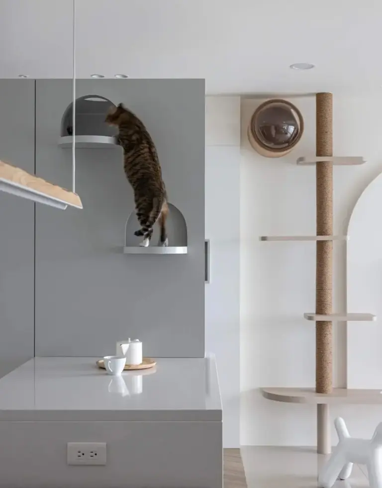 Chat sur un arbre à chat