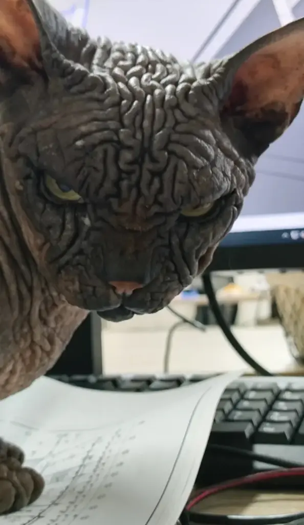 Chat